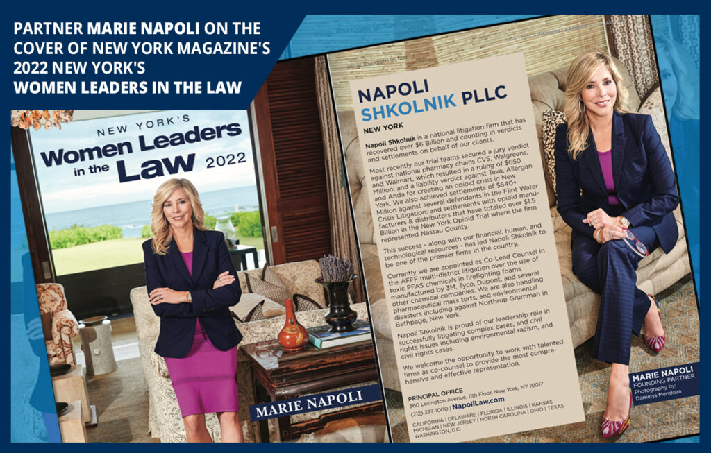 Marie Napoli: NY's Women Leaders in Law